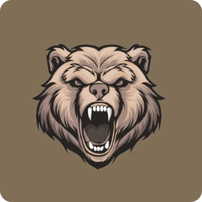 BEARS Logo